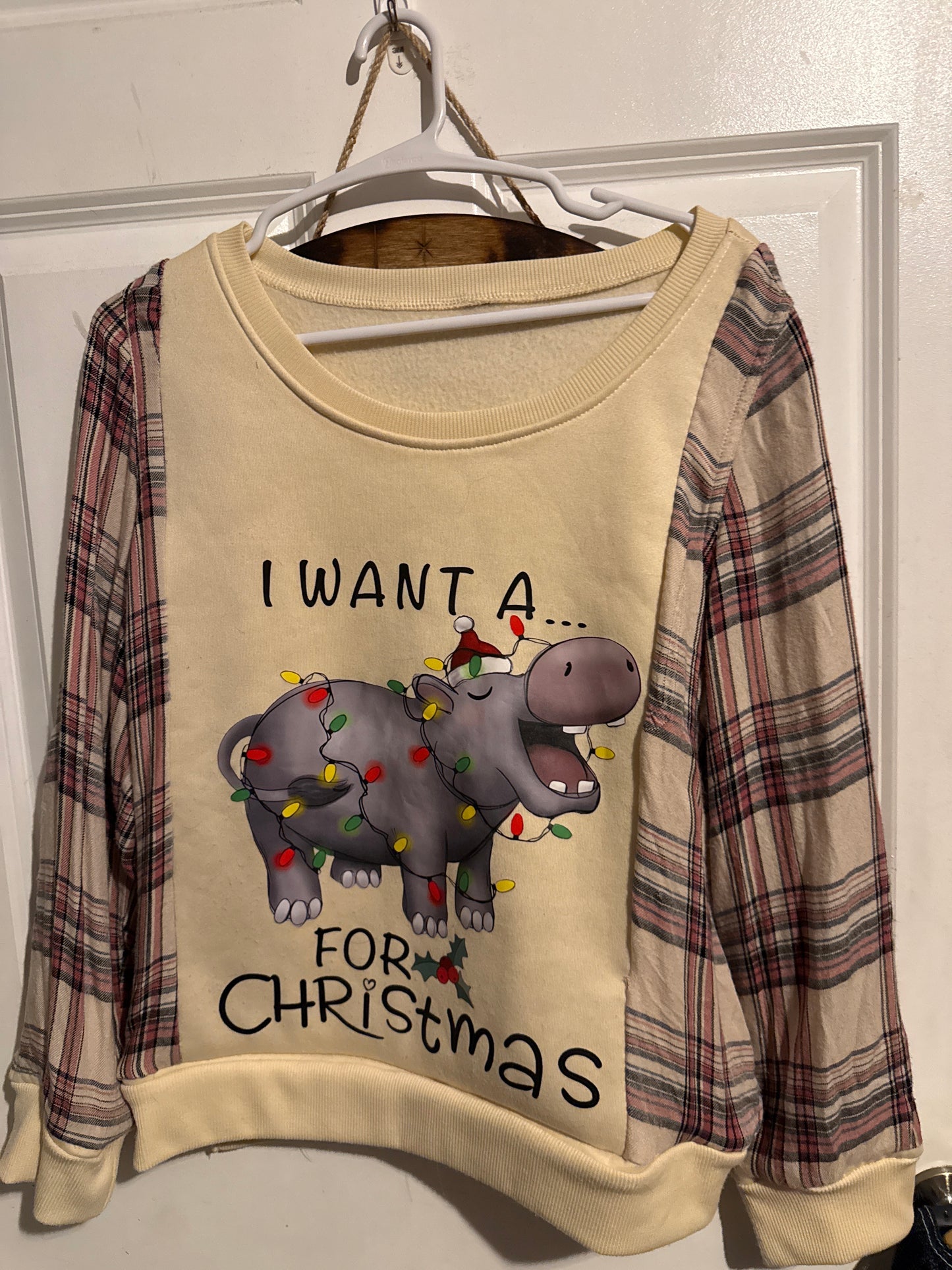 🦛 Floodie: I Want a Hippo for Christmas (L)